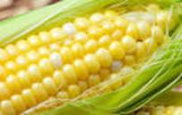 http://www.foodrecallmonitor.com/files/2014/03/Corn1.jpg